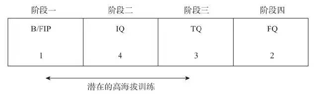 训练阶段