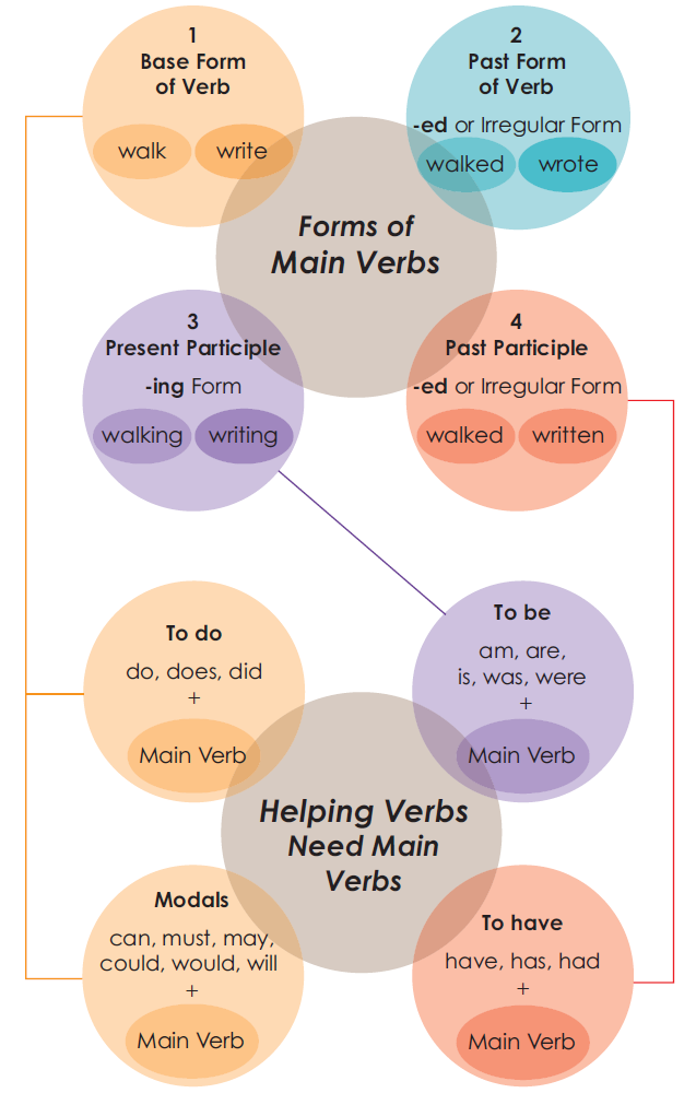 Main Verbs and Helping Verbs